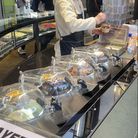 NSF-goedgekeurde Mile Galaxy Pro 2-cilinder ijsmachine multifunctionele ijs- en yoghurtmachine roestvrij staal fabrieks prijs