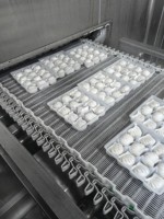 Machine de congélation spirale automatique industrielle IQF pour la transformation de la viande, des fruits de mer, de la volaille et des aliments surgelés