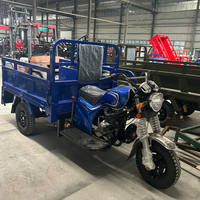 Fabrika Fiyatı 3 Tekerlekli Lucky Star No.2 Kargo Triportörü Kiti Tedarikçisi Ağır Hizmet Tipi Üç Tekerlekli Bisiklet Distribütörler İçin