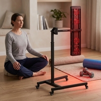 Panneau de luminothérapie à lumière rouge personnalisée (bleue/rouge) avec support mobile pour la thérapie par points de lumière rouge, fournisseur en Chine