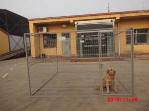 Rumah anjing peliharaan besar kualitas tinggi pemasangan mudah dalam ruangan dan luar ruangan rumah anak anjing kandang hewan peliharaan untuk dijual (XMR) - Product Image 3