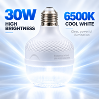Lampe LED rechargeable portable haute performance à commande tactile pour camping et marché nocturne, 30W, ampoule E27 d'urgence, 6500K, étanche