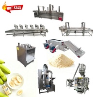 Heetverkopende automatische productielijn voor fruit- en groente-plantainbanaanmeel van roestvrij staal, hoge efficiëntie