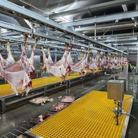 Machine d'abattage de moutons en acier inoxydable, ligne de production d'abattage de chèvres pour abattoir, ligne de production d'abattage de moutons et de chèvres