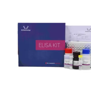 EasyStep Kit ELISA CEA humano (Antígeno Carcinogênico-Embriônico)