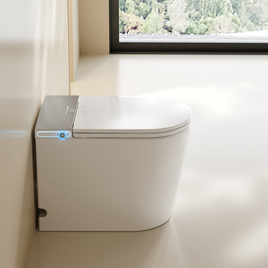 S024 Smart <strong>Toilet</strong> Auto Open/Close Heated Seat Instant Warm Water Dryer Modern Elongated Bidet Intelligent One Piece <strong>Toilet</strong> - Product Image 3