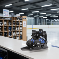 Patins à glace taille réglable pour adolescents, 12 pièces, nouveau modèle au choix