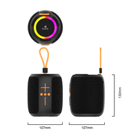 Enceinte sans fil portable 5W avec lumière RGB et subwoofer pour fêtes à domicile, intérieur et extérieur