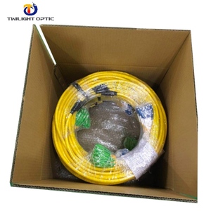 24 cœurs Single Mode OS2 Trunk Cables 0.9mm Bunchy Breakout Cable Optic <span class=keywords><strong>Patch</strong></span> Cord avec Pull Eye <span class=keywords><strong>pour</strong></span> Data Center - Product Image 4