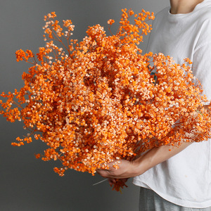 Decoración <span class=keywords><strong>flor</strong></span> seca conservada flores gypsophila <span class=keywords><strong>paniculata</strong></span> aliento <span class=keywords><strong>de</strong></span> bebé para diseño <span class=keywords><strong>de</strong></span> boda 120g - Product Image 5