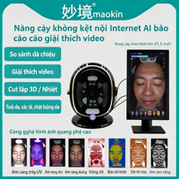 Testeur de peau facial hors ligne 10 spectres RGB UV PL avec IA pour l'analyse de l'acné et des rides, détection d'hydratation, écran tactile LCD, modèle de bureau US