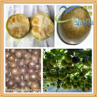 Extrait de fruit de moine, extrait de Fructus Momordicae, glycosides V 20%, glycoside de Luo Han Guo 80%