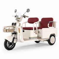 Vélo électrique rétro à design ouvert, sans balais, double siège, panier avant, phare LED, frein à disque hydraulique, batterie au plomb-acide 3 vitesses