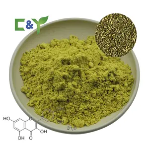 ตัวอย่างฟรี Quercetin วิตามินซี Quercetin ผง Quercetin สารสกัดจาก