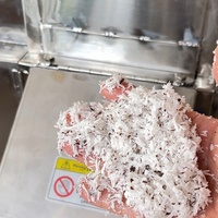 Machine à broyer les noix de coco automatique commerciale de petite taille, nouvelle machine à lait de coco et outil de préparation de jus de fruits pour la maison et les petites entreprises