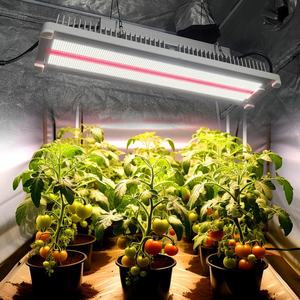 ไฟปลูกพืช Samsung 650W แบบสองสเปกตรัม - แสงขาว 3000K/5000K + ระบบปลูกแบบครบวงจร IR/UV - Product Image 5