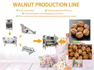 Macchina per la separazione del nocciolo e della noce - Product Image 2