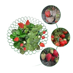 Cremagliera di coltivazione tridimensionale fragola, supporto per piantare, vassoio quadrato per la coltivazione di fragole - Product Image 5