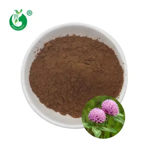 Pure Red Clover Seeds Red Clover P.E Red Clover Extract 8-40%