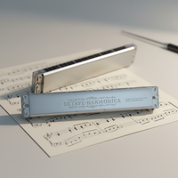 KONGSHENG Professional 24-Hole Octave Harmonica for Adults OEM Service Model 2430