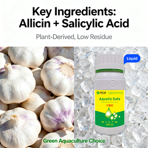 CY Aquatic Safe: Desintoxicante de toxinas almidónicas, eliminación de algas, desinfección de doble función y aditivos para alimento acuático - Product Image 2