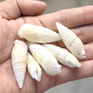 Seastar Vase Phoenix escargot 3-5cm <span class=keywords><strong>naturel</strong></span> poli blanc conque coquillage trous bricolage carillon éolien accessoires Souvenir coloré réel - Product Image 5