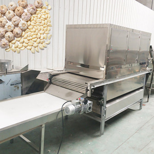 Machine automatique à peler l'ail, 2200W, 380V, équipement de traitement des légumes en acier inoxydable pour la production d'ail pelé - Product Image 4