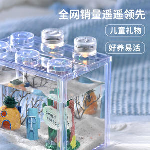 Mini Marine Life Haiyan Lin's Student Lazy Starfish Supplies Moving Patrick Star - Product Image 2