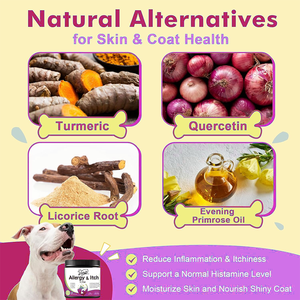 Oem כלב טבעי אלרגיה הקלה לועס colostrum אומגה-36 תמיכה במערכת החיסון גירוד העור הקלה טיפול כתם חם כתם חם - Product Image 3