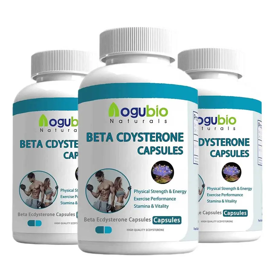 Aogubio-capsules de bêta-ecdystérone Suppléments pour la masse musculaire maigre Performance athlétique et force bêta-ecdystérone