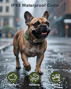 Kalung Kejut Anjing - Kalung Pelatihan Anjing 4500FT dengan Remote, Kalung Anjing Elektrik Tahan Air IPX8 dengan 4 Mode Pelatihan - Product Image 4