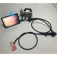 Endoscope flexible vétérinaire OSCAT caméra d'endoscope vétérinaire d'urétéroscope à fibre flexible portable