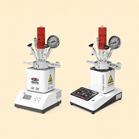 Réacteur haute pression de laboratoire personnalisable en acier inoxydable 316L, 12,5 MPa, 20-300 ℃   Autoclave agitateur avec condenseur, garantie 1 an, certifié GB/T