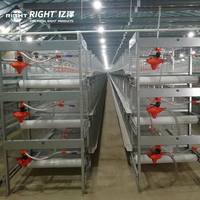 Système de cages en batterie automatiques pour poulets de type H à 4 niveaux, capacité 20 000 oiseaux, galvanisé à chaud avec collecte automatique des œufs, à vendre