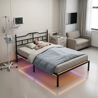 Lit pliant en fer robuste avec éclairage LED RGB, télécommande et rangement spacieux, montage rapide, sans bruit d'usine
