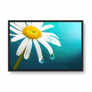 Printed Canvas Artwork: Daisy Stained Glass - Floral Boho Decor,<b>BLACK</b> <b>FRAMED</b> CANVAS - Product Image 2