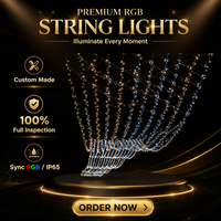 Guirlande lumineuse LED extérieure personnalisée IP65 en PVC pour arbres, rideaux lumineux, décoration de Noël et de mariage pour fêtes et événements