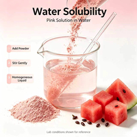 Extrait de fruit de Citrullus Lanatus de qualité cosmétique professionnelle, poudre botanique, matière première pour les formules de soins du visage et de lavage corporel