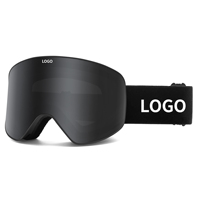 Dilupu Vente en gros de lunettes de ski OEM avec logo personnalisé, anti-buée, protection, lentilles amovibles, UV400, lunettes de snowboard pour hommes et femmes