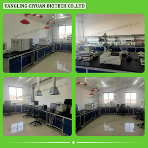 Extracto de Kanna Silvestre en Polvo, <span class=keywords><strong>Lampranthus</strong></span> Tenuifolius, Empacado al Vacío en Tambor, Venta Caliente, Suministro de Fábrica - Product Image 4