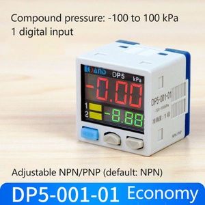 DP5-001-01 เซ็นเซอร์วัดแรงดันสุญญากาศ ชิ้นส่วนทดแทนสำหรับการตรวจสอบระบบนิวเมติกในอุตสาหกรรม - Product Image 4