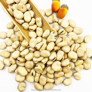 Fèves séchées de haute qualité Plantation naturelle Goût original Fèves - Product Image 6