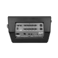 Haut-parleur PA portable NUX Busking 200FR 200W alimenté par batterie FRFR