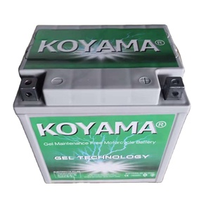 <span class=keywords><strong>Batería</strong></span> de Gel <span class=keywords><strong>para</strong></span> Vehículos Utilitarios de <span class=keywords><strong>12V</strong></span> 30ah, <span class=keywords><strong>Batería</strong></span> <span class=keywords><strong>para</strong></span> Motocicleta ATV, <span class=keywords><strong>Batería</strong></span> <span class=keywords><strong>para</strong></span> Motocicleta MF YIX30L-BS-MF - Product Image 1