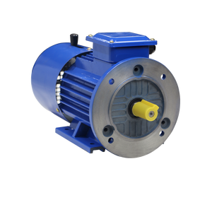 มอเตอร์ไฟฟ้ากระแสสลับแบบอะซิงโครนัส LF IE2 22v 380v 50hz 90KW 2P สามเฟส โครงเหล็กหล่อ รุ่น YEJ-280M-2 IC411 แบบยึดหน้าแปลน ขายดี - Product Image 3