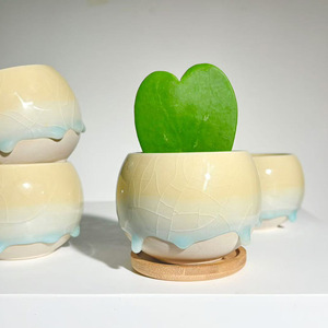 Vaso in <span class=keywords><strong>Ceramica</strong></span> per <span class=keywords><strong>Piante</strong></span> <span class=keywords><strong>Grasse</strong></span> e Cactus con Effetto Craquelé e Smalto Fluido, Design Minimalista Semi-artigianale, Piccolo Vaso da Scrivania - Product Image 1