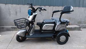 Tricycle électrique puissant à trois roues avec contrôleur intelligent à vitesse unique 48V 600W Économe en énergie - Product Image 4