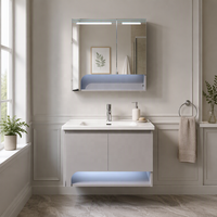 Meuble de salle de bain mural moderne WJL, étanche, en acier inoxydable de 70 cm, avec lavabo en céramique et miroir double éclairé