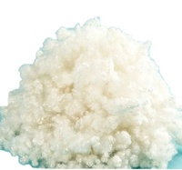 Fibre discontinue de remplissage en polyester creux recyclé en gros de matières premières standard à bas prix