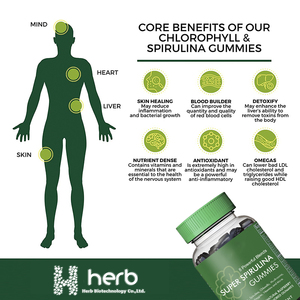 Gomitas de Espirulina OEM/ODM, con Vitamina B12, Vitamina B3 y Antioxidantes, Veganas y Sin Gluten - Product Image 2